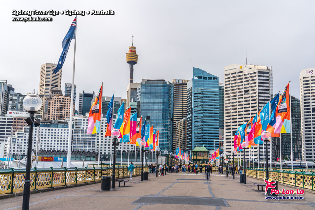 Sydney Tower Eye